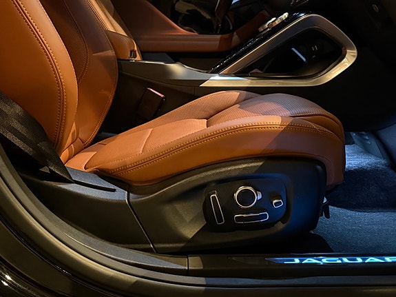 Jaguar I-PACE 20 of 30