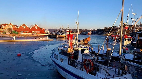 Bilde 5 av 13 i jobbannonse-galleriet