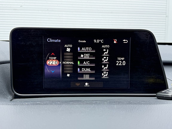 Lexus RX450h 19 of 29