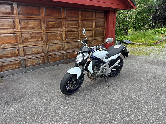 Suzuki SFV 650 Gladius 2 of 5