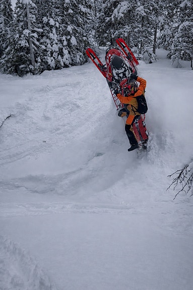 Lynx Shredder 5 of 5