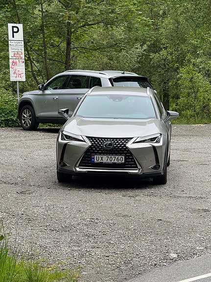 Lexus UX250h 5 of 5