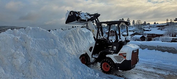 Bobcat L28 2 of 5