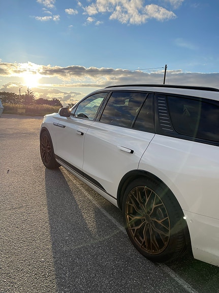 Hongqi E-HS9 13 of 20