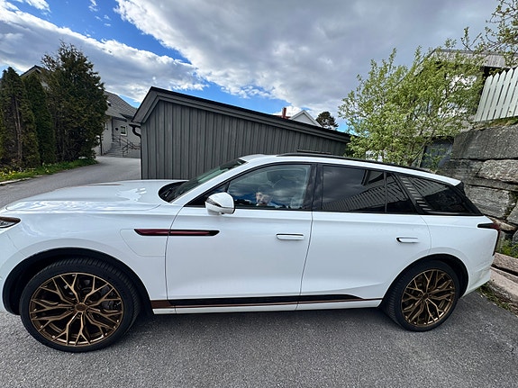 Hongqi E-HS9 15 of 20