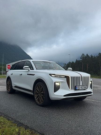 Hongqi E-HS9 8 of 20