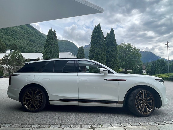 Hongqi E-HS9 12 of 20