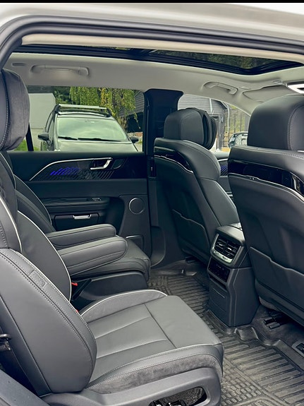 Hongqi E-HS9 19 of 20