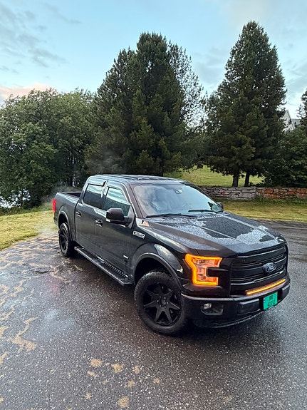 Ford F-150 6 of 30