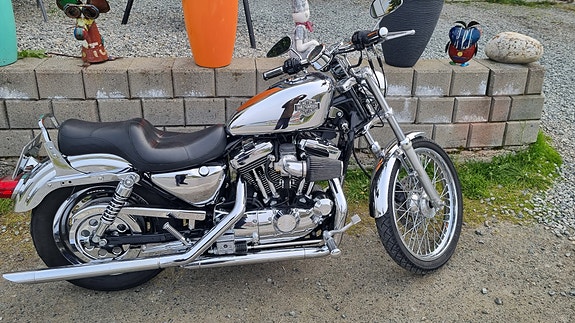 Harley-Davidson XL1200 5 of 5