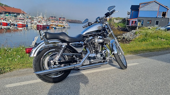 Harley-Davidson XL1200 2 of 5