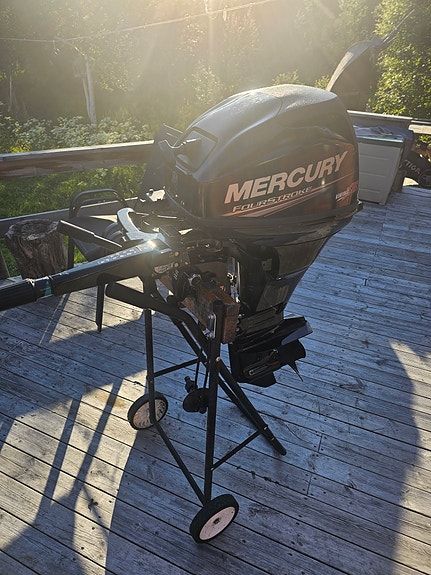 20HK Kortstamme Mercury viking XS  (10) 2 of 5