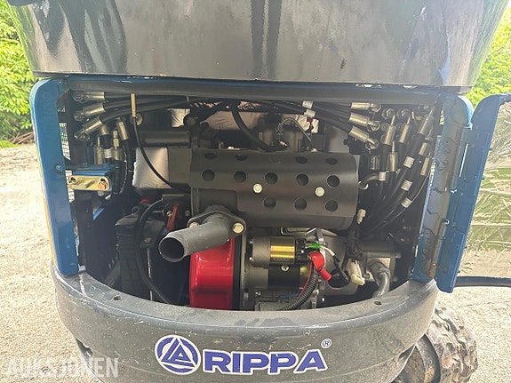 Andre Rippa R10 5 of 5