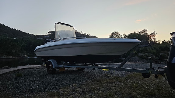 Sea Ray Laguna 16 SC 60hk 4 of 5