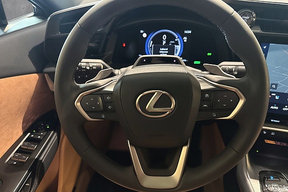 Lexus RZ450e 12 of 21