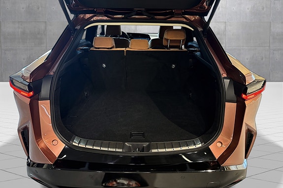 Lexus RZ450e 18 of 21