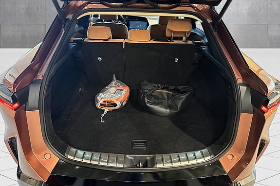 Lexus RZ450e 19 of 21