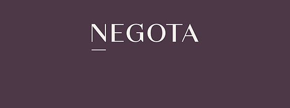 Negota AS logo