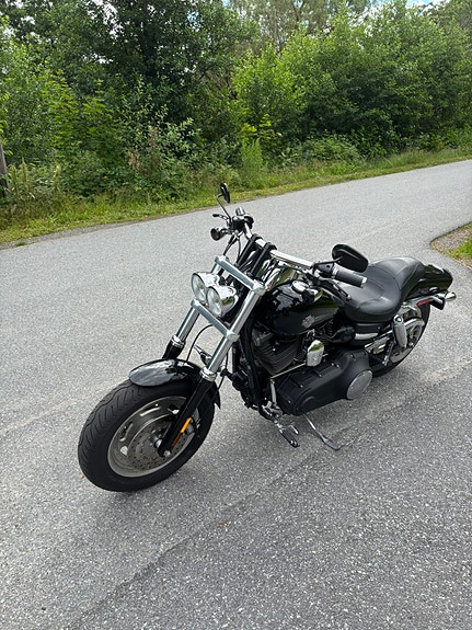 Harley-Davidson FXDF 3 of 5