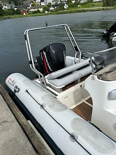 Mercury Optimax 225 4 of 5