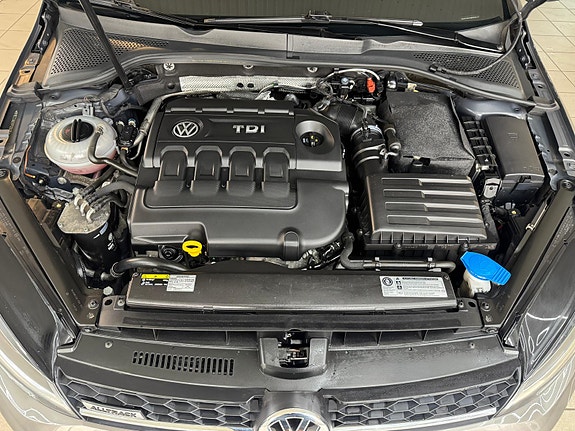 Volkswagen Golf Alltrack 21 of 30