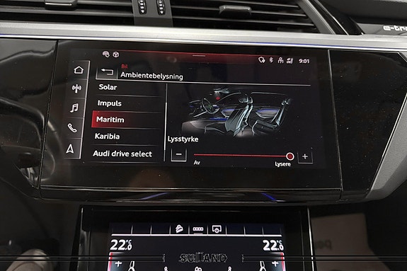 Audi e-tron Sportback 21 of 28