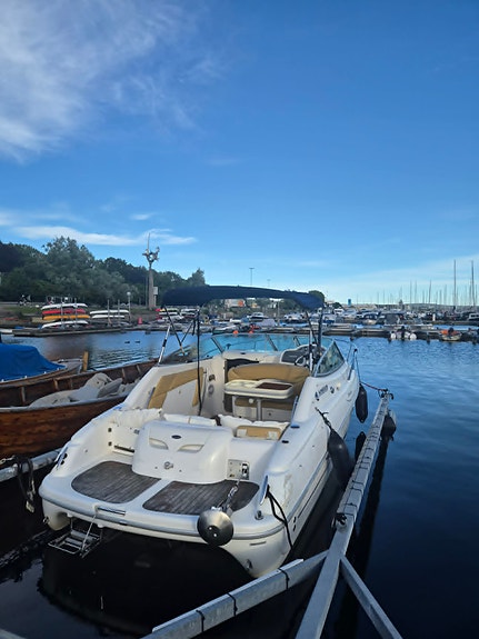 Sessa Islamorada 23 fot – Daycruiser - Mulighet for båtplass i Frognerkilen 4 of 5