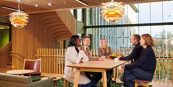 Bilde 17 av 17 i jobbannonse-galleriet