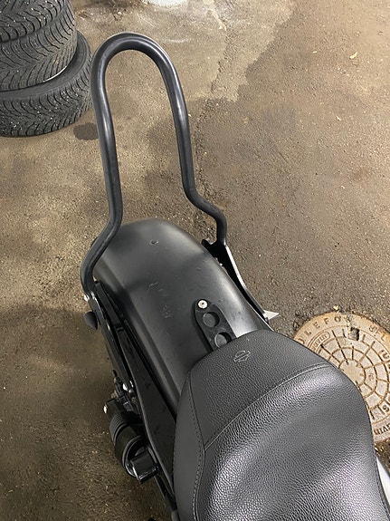 Harley-Davidson XL 883N Iron 11 of 20