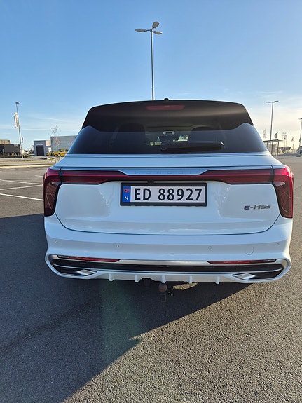Hongqi E-HS9 3 of 5