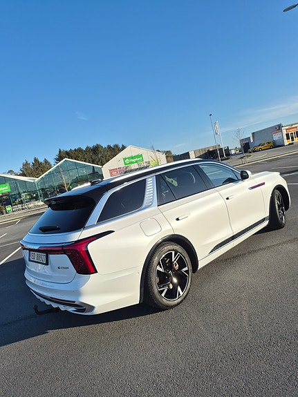 Hongqi E-HS9 5 of 5