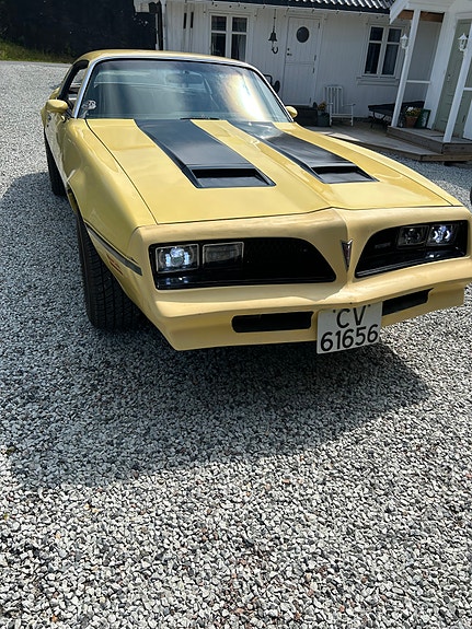 Pontiac Firebird 1977 photo 3