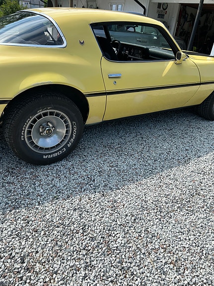 Pontiac Firebird 1977 photo 4