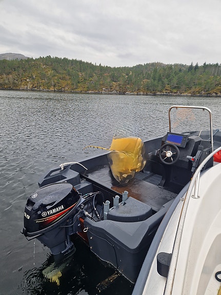 Pioner 14 Active Yamaha 9.9/15 HEL( 20hk forgasser) el start og styrekonsoll 5 of 5