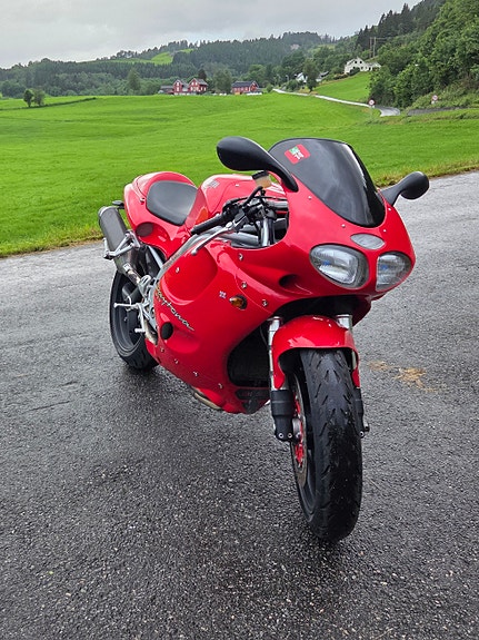 Triumph Daytona 955