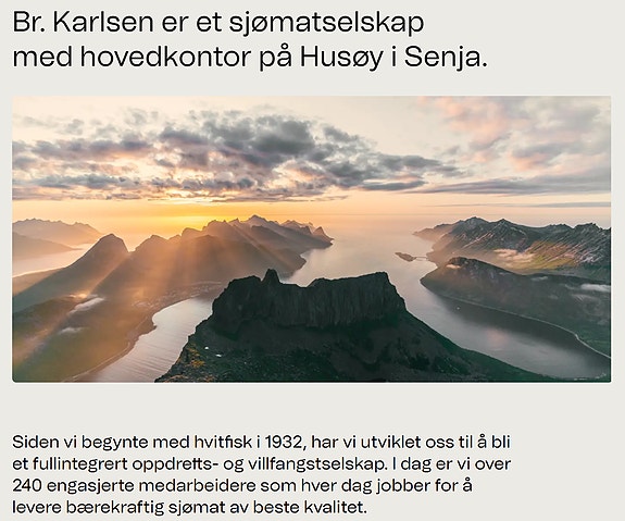 Bilde 1 av 1 i jobbannonse-galleriet