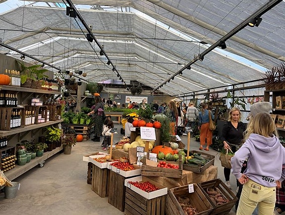 Bilde 3 av 3 i jobbannonse-galleriet