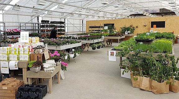 Bilde 1 av 3 i jobbannonse-galleriet