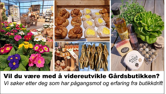 Bilde fra arbeidsgiver