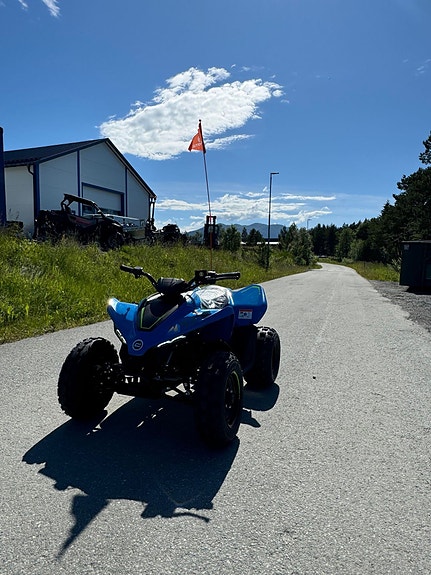 CFMOTO CFORCE 110 2 of 5