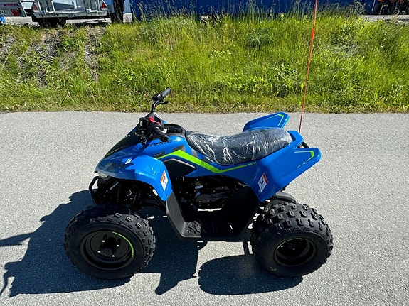 CFMOTO CFORCE 110 3 of 5