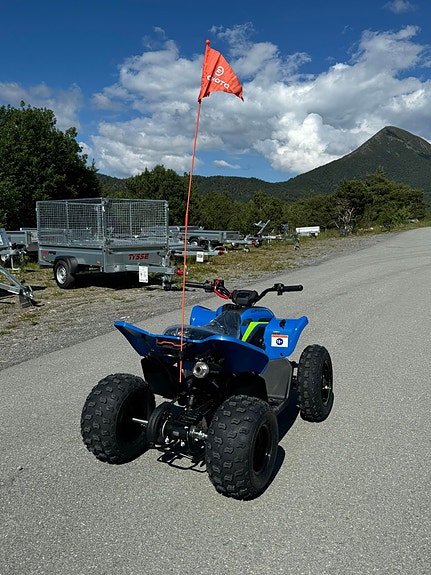 CFMOTO CFORCE 110 4 of 5