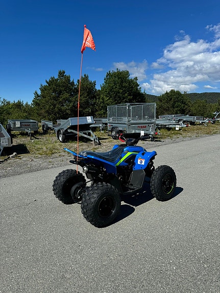 CFMOTO CFORCE 110 5 of 5
