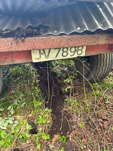 Orkel T4 9 of 9