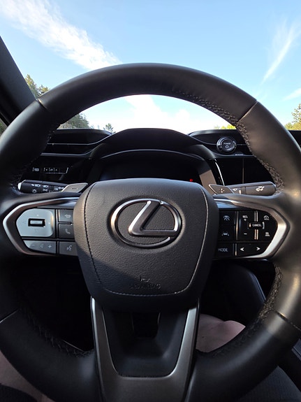 Lexus RZ450e 29 of 30