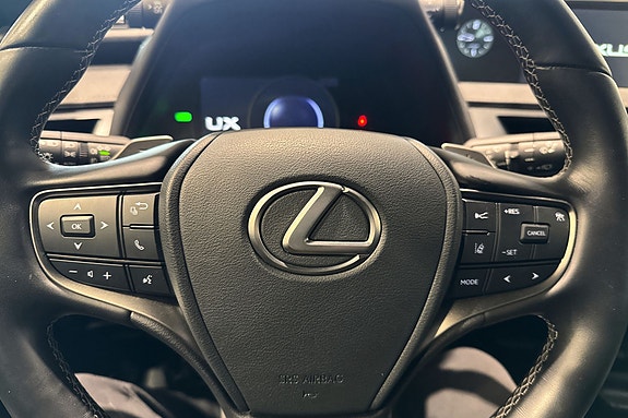 Lexus UX300e 10 of 19