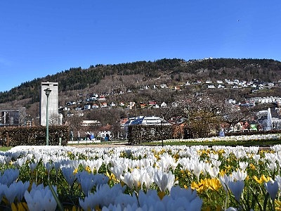 Bergen kommune logo