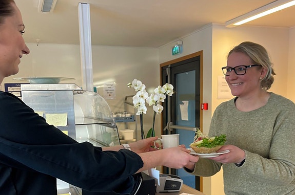Bilde 4 av 10 i jobbannonse-galleriet