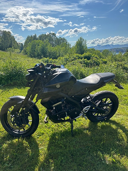 Yamaha MT-125 3 of 10