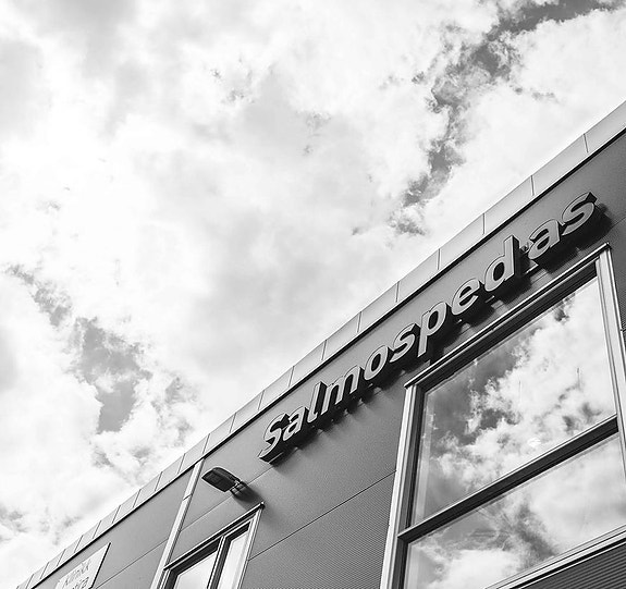 Bilde 2 av 3 i jobbannonse-galleriet